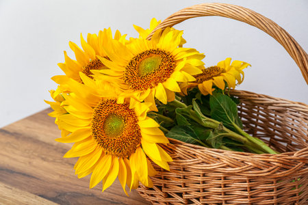Wicker basket with beautiful sunflowers on wooden tableの写真素材