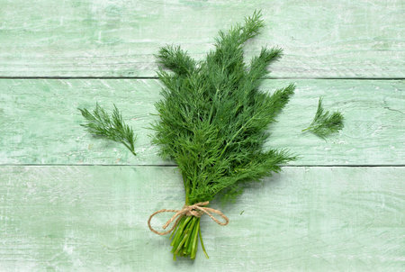 Bunch of fresh dill on green wooden backgroundの写真素材