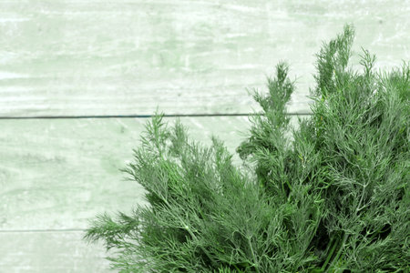 fresh dill on green wooden backgroundの写真素材