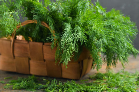 Wicker basket with fresh dill on gray backgroundの写真素材