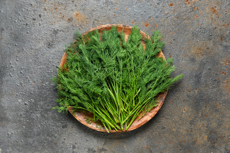 Plate with fresh dill on gray backgroundの写真素材