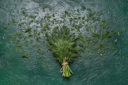 Bunch of fresh dill on green background