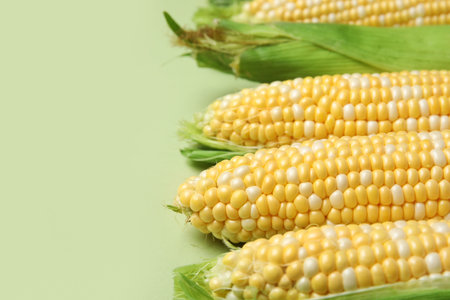 Fresh corn cobs on green backgroundの写真素材