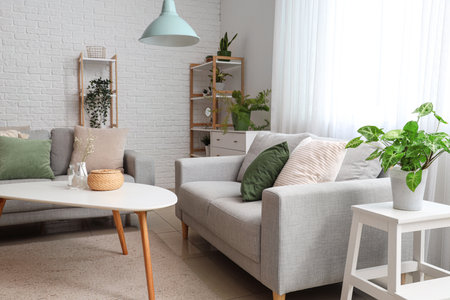 Interior of light living room with cozy gray sofas, coffee table and houseplantsの写真素材