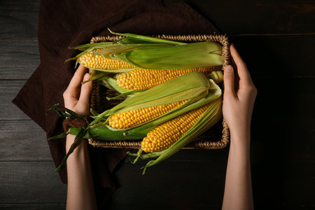 Woman holding basket with fresh corn cobs on black wooden backgroundの写真素材