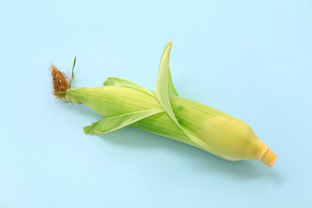 Fresh corn cob on blue background