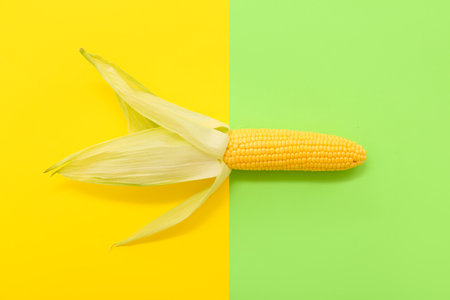 Fresh corn cob on colorful backgroundの写真素材