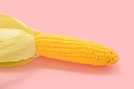 Fresh corn cob on pink background