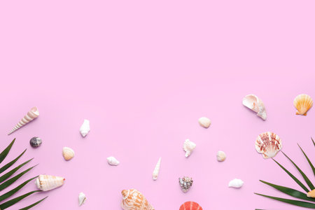 Composition with different seashells and palm leaves on pink backgroundの写真素材