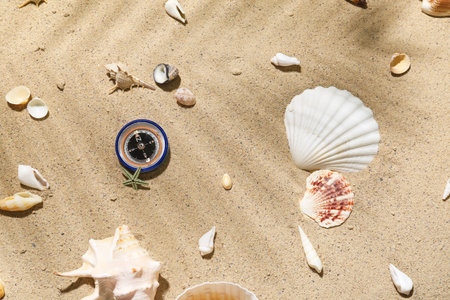 Compass and seashells on beach sandの写真素材