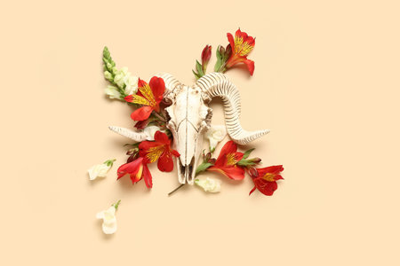 Composition with skull of sheep and beautiful flowers on beige backgroundの写真素材
