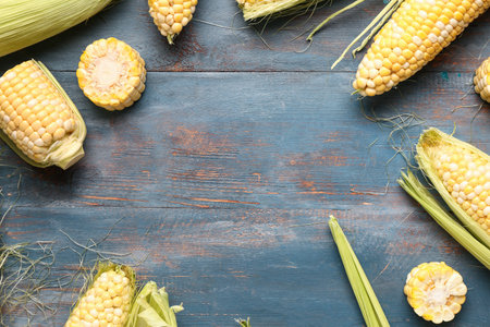 Frame made of fresh corn cobs on blue wooden backgroundの写真素材