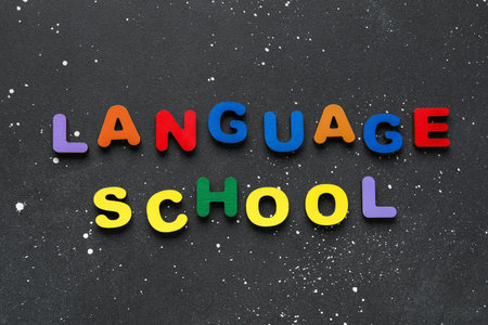 Text LANGUAGE SCHOOL made of wooden letters on grunge black background