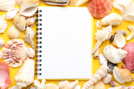 Notebook with different seashells on yellow backgroundの写真素材
