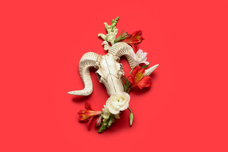 Skull of sheep with different beautiful flowers on red backgroundの写真素材