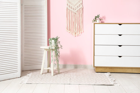 Interior of living room with chest of drawers, houseplant on stool and stylish rug
