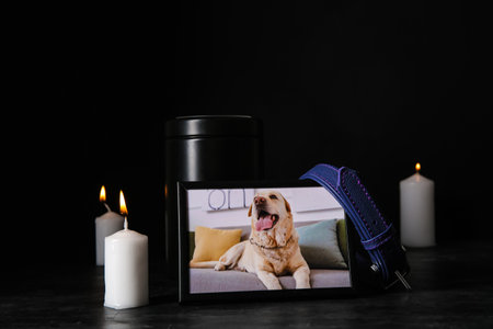 Frame with picture of dog, collar, mortuary urn and burning candles on dark background. pet funeralの写真素材