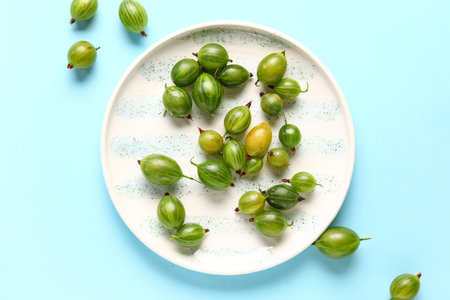 Plate with fresh gooseberries on blue backgroundの写真素材