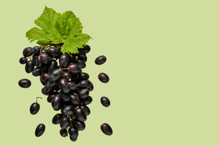 Flying sweet black grapes on green backgroundの写真素材