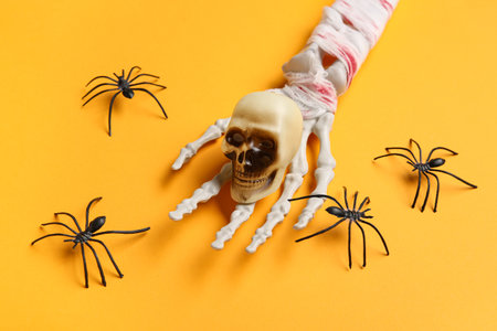 Skeleton hand with skull and spiders for Halloween celebration on orange background, closeupの写真素材