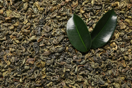 Dry green tea and fresh leaves as background, closeupの写真素材