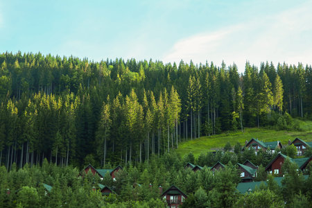 Mountain landscape with forest in Carpathians, Ukraine