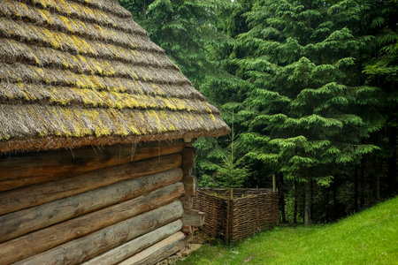 Old wooden house with thatched roof in forest