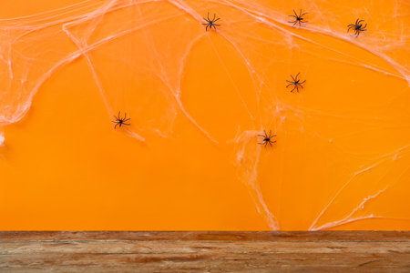 Spiders with web on color background. halloween celebration conceptの写真素材