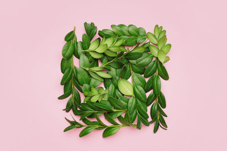 Green twigs on pink background