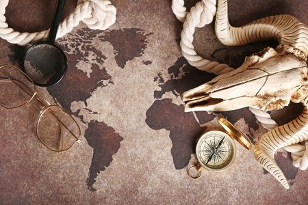 Sheep skull with travel equipment and world map, closeup