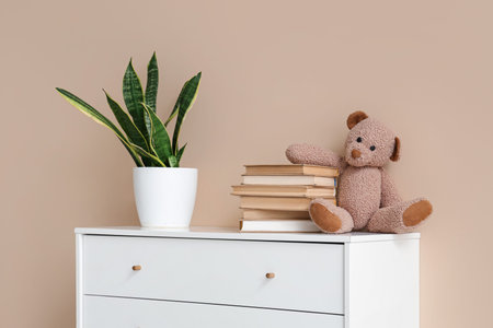 Chest of drawers with books, toy bear and houseplant near beige wallの写真素材