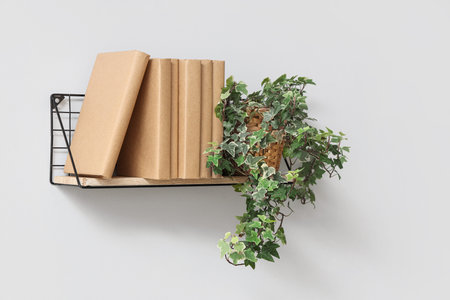 Shelf with books and plant on light wall
