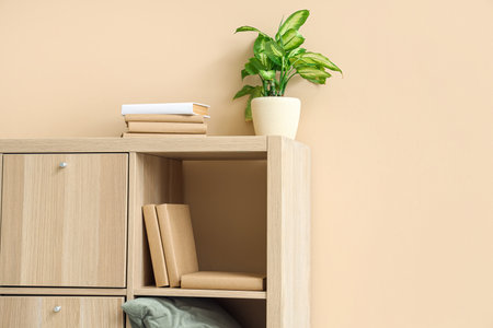 Chest of drawers with books and houseplant near beige wallの写真素材