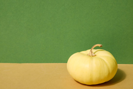 Fresh pumpkin on colorful backgroundの写真素材