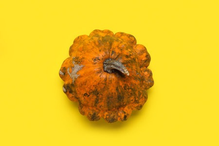 Fresh pumpkin on yellow backgroundの写真素材