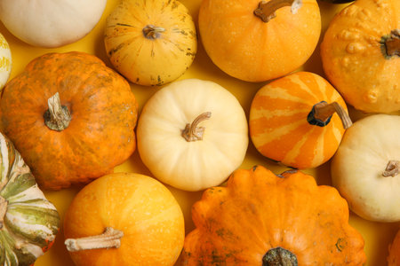 Different fresh pumpkins on yellow background, closeup