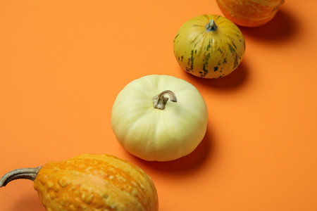 Different fresh pumpkins on orange backgroundの写真素材