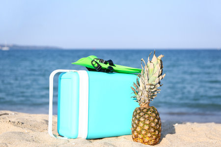 Beach cooler, flippers and pineapple on sandの写真素材