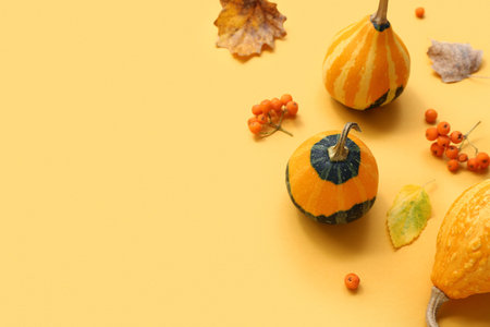 Autumn composition with pumpkins, viburnum and leaves on orange backgroundの写真素材