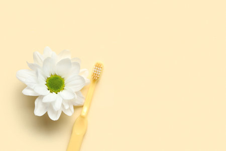 Toothbrush and beautiful chamomile flower on color backgroundの写真素材
