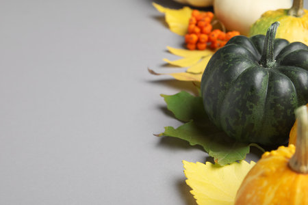 Composition with ripe pumpkins and natural forest decor on gray backgroundの写真素材