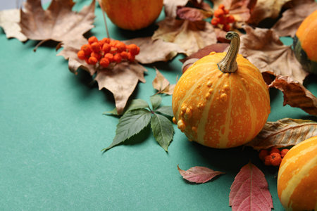 Autumn composition with pumpkins and natural forest decor on green background, closeup