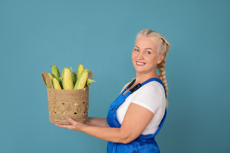 Mature female farmer with wicker basket full of ripe corn cobs on blue backgroundの写真素材