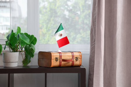 Suitcase with Mexican flag and houseplant on shelf in roomの写真素材
