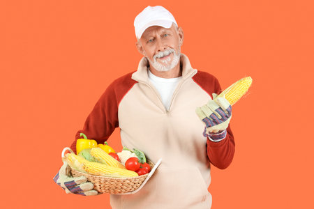 Mature male farmer with corn and wicker basket full of different ripe vegetables on orange...