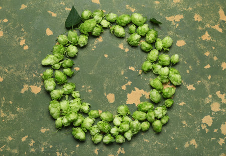 Frame made of fresh green hops on color background