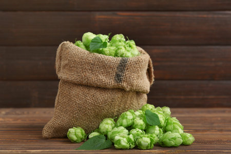 Sack bag with fresh green hops and leaves on wooden background