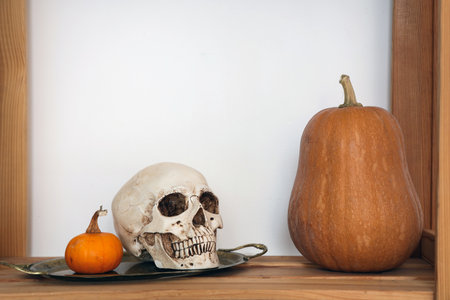 Skull with Halloween pumpkins on shelf near light wallの写真素材