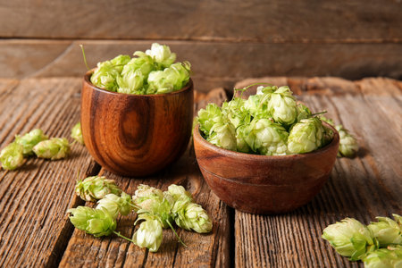 Bowls with fresh green hops on wooden background