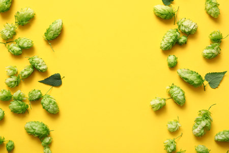 Fresh green hops and leaves on yellow backgroundの写真素材